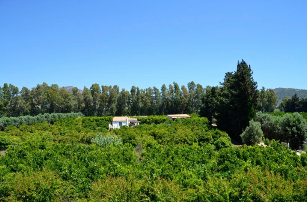 Luna&Limoni Country Muravera Luaran gambar
