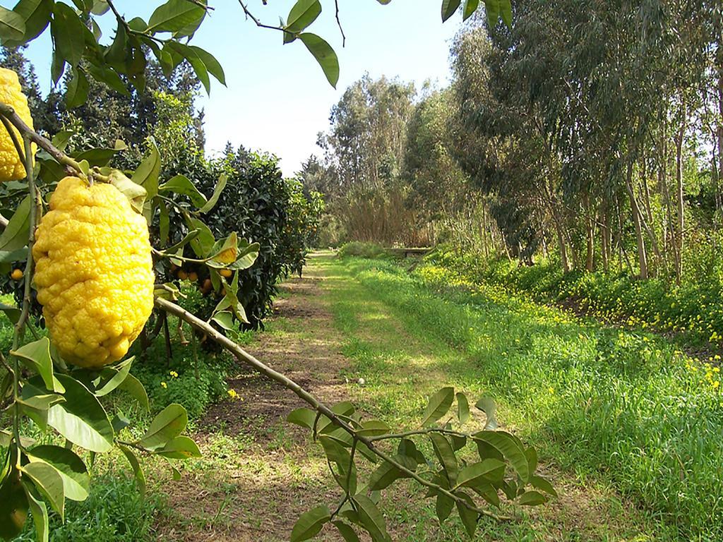 Luna&Limoni Country Muravera Luaran gambar